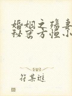 婚姻之殇妻子的秘密方恒小说在线阅读