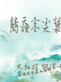 林天全小说免费阅读全文最新章节