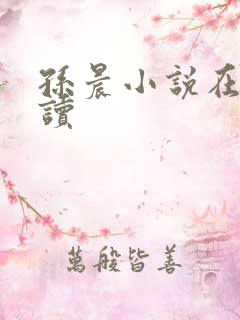 孙晨小说在线阅读