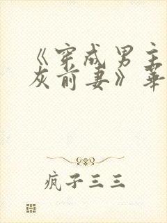《穿成男主的炮灰前妻》华阙阙
