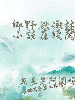 乡野欲潮林天成小说在线阅读