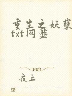 重生之妖孽人生txt网盘