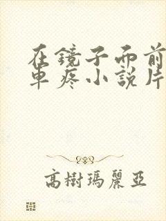 在镜子面前做开车疼小说片段