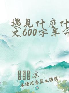 遇见什么什么作文600字半命题