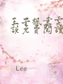 王子枫袁雯洁小说免费阅读