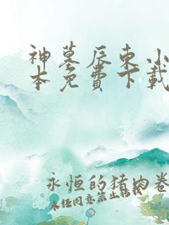 神墓辰东小说全本免费下载