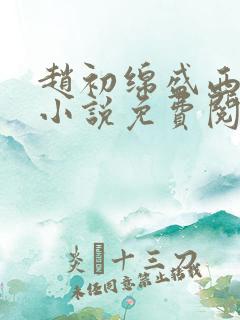 赵初绵盛西舫的小说免费阅读