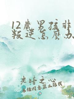 12岁男孩非常叛逆怎么办