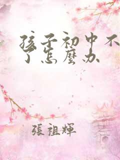 孩子初中不上学了怎么办