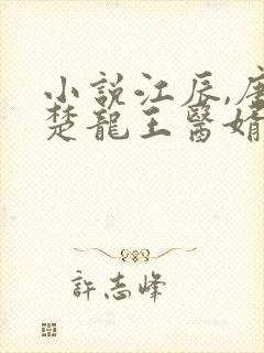 小说江辰,唐楚楚龙王医婿