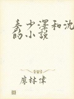 秦少泽和沈灵隽的小说