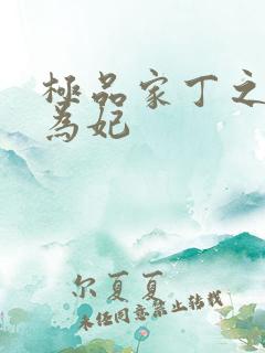 极品家丁之册母为妃