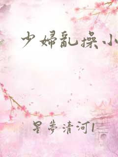 少妇乱操小说