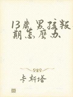 13岁男孩叛逆期怎么办