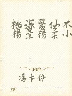 桃源医仙不风流杨晨杨柔小说正版阅读