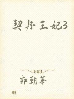 契丹王妃3