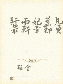 轩雨妃叶凡小说最新章节更新