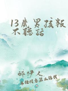 13岁男孩叛逆不听话