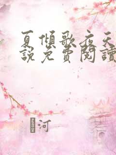 夏倾歌夜天承小说免费阅读