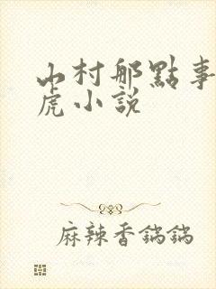 山村那点事安二虎小说