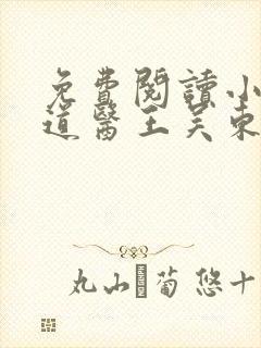 免费阅读小说武道医王吴东