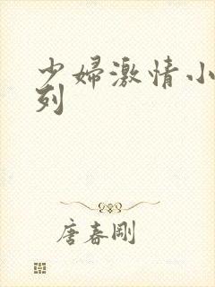 少妇激情小说系列