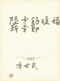 陆少的暖婚新妻新章节