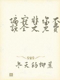 偏宠非你不乖小说全文免费阅读