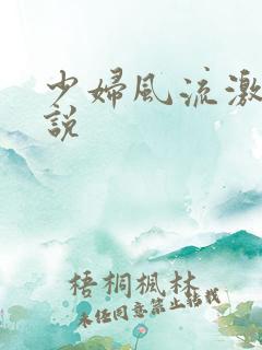 少妇风流激情小说