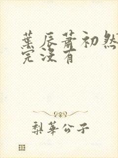 叶辰萧初然更新完没有