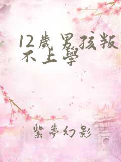 12岁男孩叛逆不上学