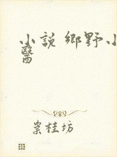 小说 乡野小傻医