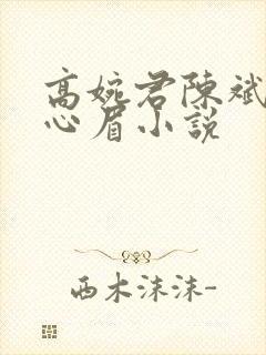 高婉君陈斌和赵心眉小说