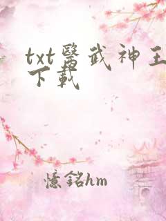 txt医武神王下载
