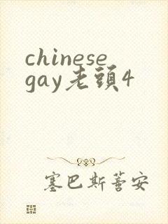 chinesegay老头4
