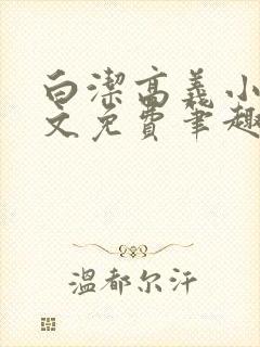 白洁高义小说全文免费笔趣