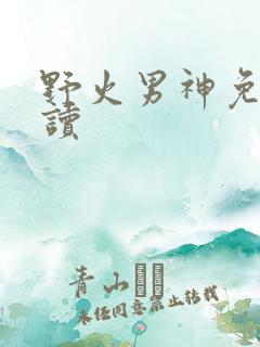 野火男神免费阅读