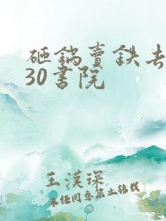 砸锅卖铁去上学30书院