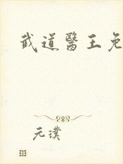 武道医王免费