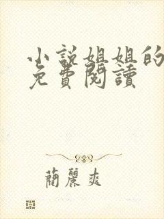 小说姐姐的秘密免费阅读