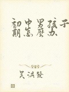 初中男孩子叛逆期怎么办