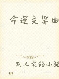 命运交响曲小说
