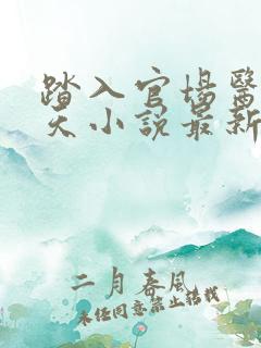 踏入官场医道问天小说最新章节