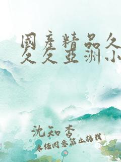 国产精品久久久久久亚洲小说