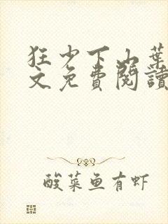 狂少下山叶凡全文免费阅读