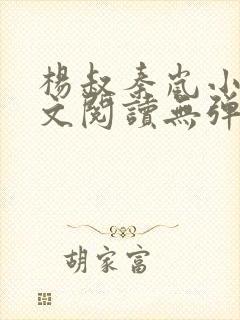 杨叔秦岚小说全文阅读无弹窗
