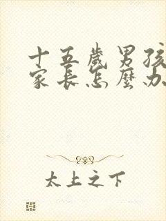 十五岁男孩厌学家长怎么办