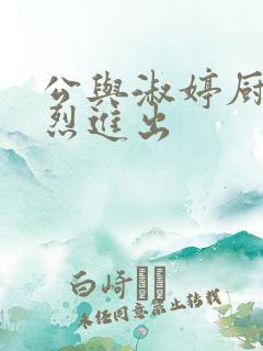 公与淑婷厨房猛烈进出