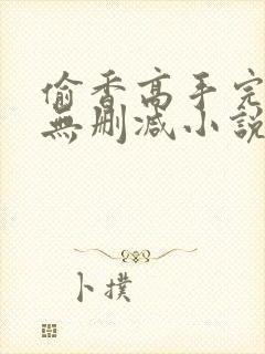 偷香高手完整版无删减小说
