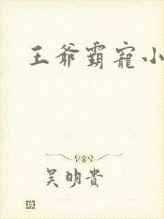 王爷霸宠小甜妻